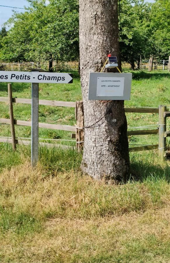 Les Petits Champs Apartment Buais-les-Monts Bagian luar foto